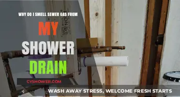Sewer Gas from Shower Drain: Causes and Solutions Explained