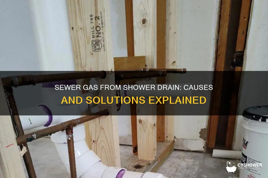 why do i smell sewer gas from my shower drain