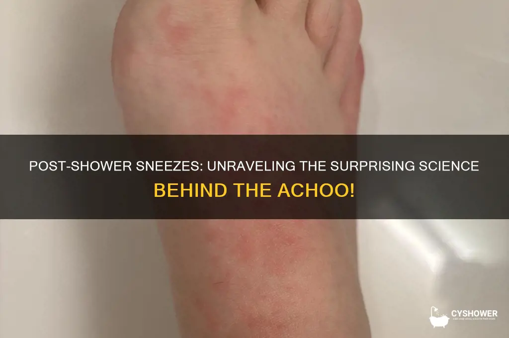 why do i sneeze after i take a shower