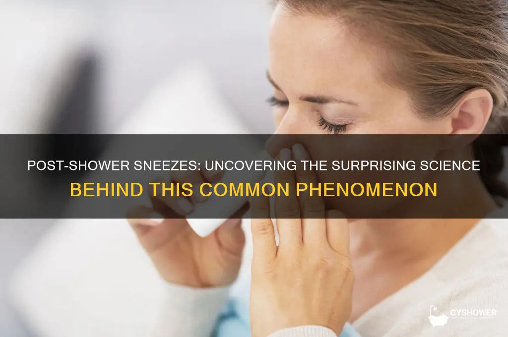 why do i sneeze when i get out the shower