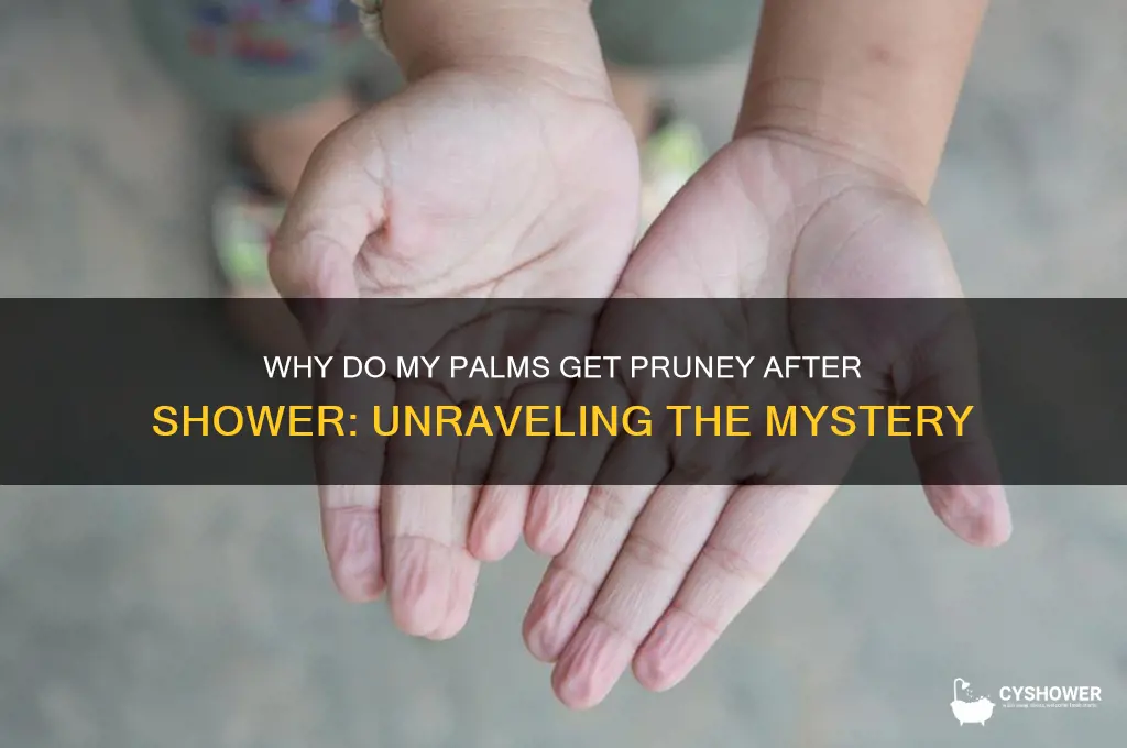 why do my palms get pruney after shower