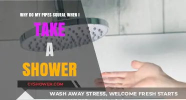 Why Do My Pipes Squeal During Showers? Causes and Fixes