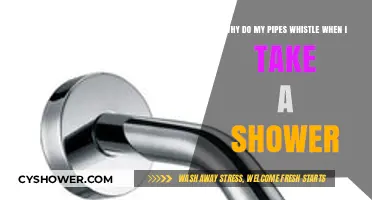 Why Do My Pipes Whistle During Showers? Causes and Fixes
