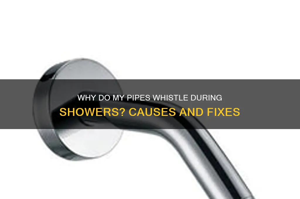 why do my pipes whistle when i take a shower