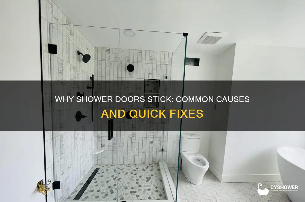 why do my shower doors not