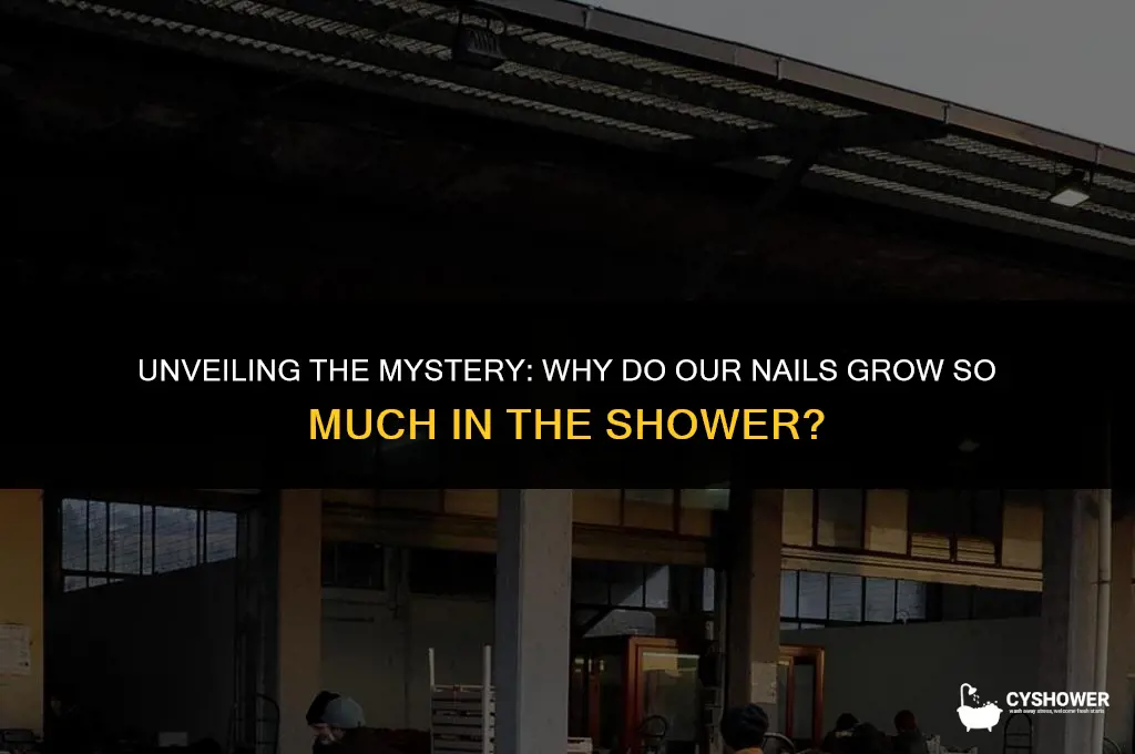 why do our nails grow so much in the shower