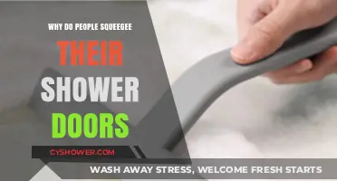 Why Squeegee Shower Doors? The Simple Secret to Spotless Glass