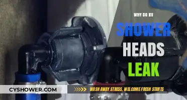 Why RV Shower Heads Leak: Common Causes and Quick Fixes