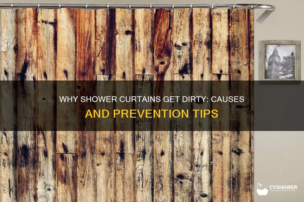 why do shower curtains get dirty