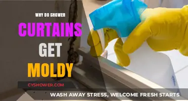 Preventing Mold: Understanding Why Shower Curtains Get Moldy and How to Stop It