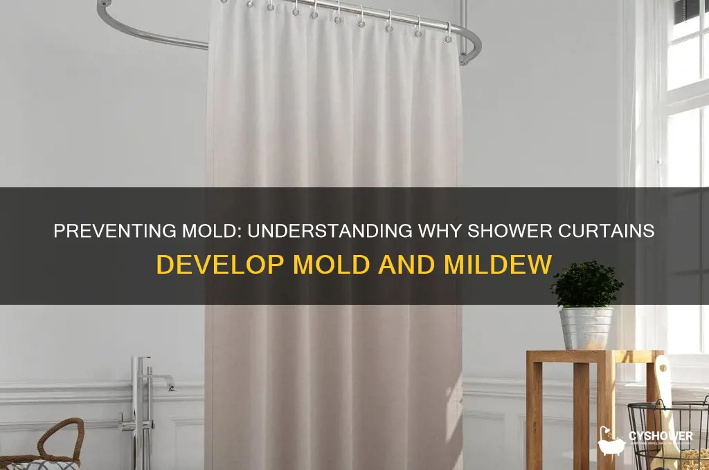 why do shower curtains mold