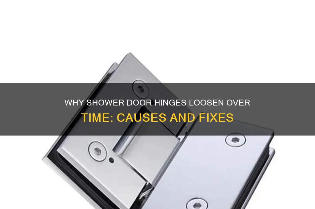 why do shower door hinges get loose