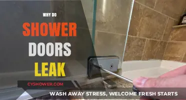 Why Shower Doors Leak: Common Causes and Simple Fixes