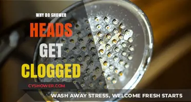 Why Shower Heads Clog: Causes, Prevention, and Easy Fixes