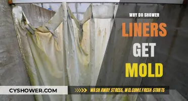 Why Shower Liners Develop Mold: Causes and Prevention Tips