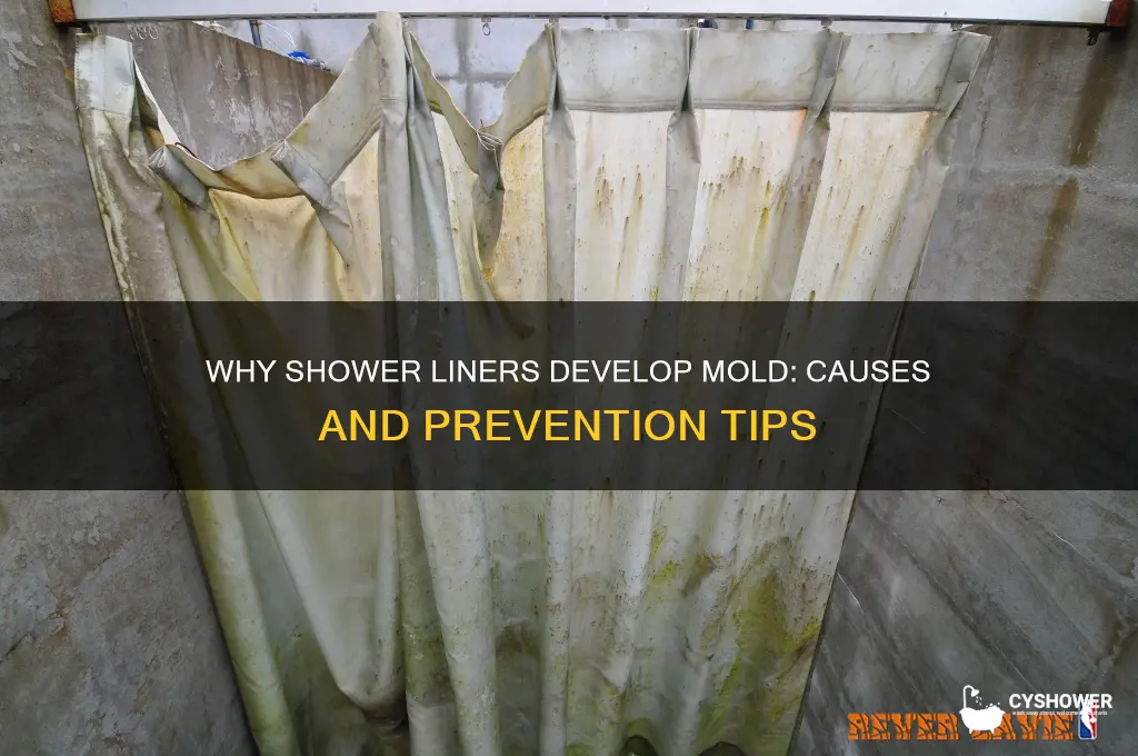 why do shower liners get mold