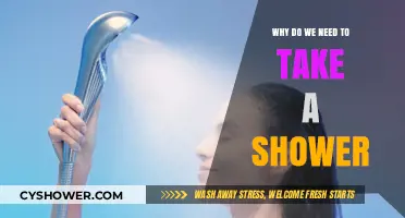 Refresh, Renew, Revitalize: The Essential Benefits of Daily Showers