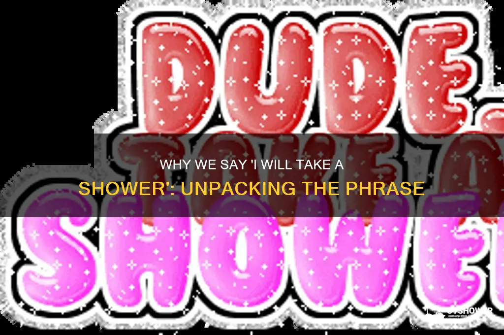 why do we say i will take a shower