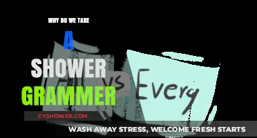 Why Do We Take a Shower? Grammar Explained Simply and Clearly
