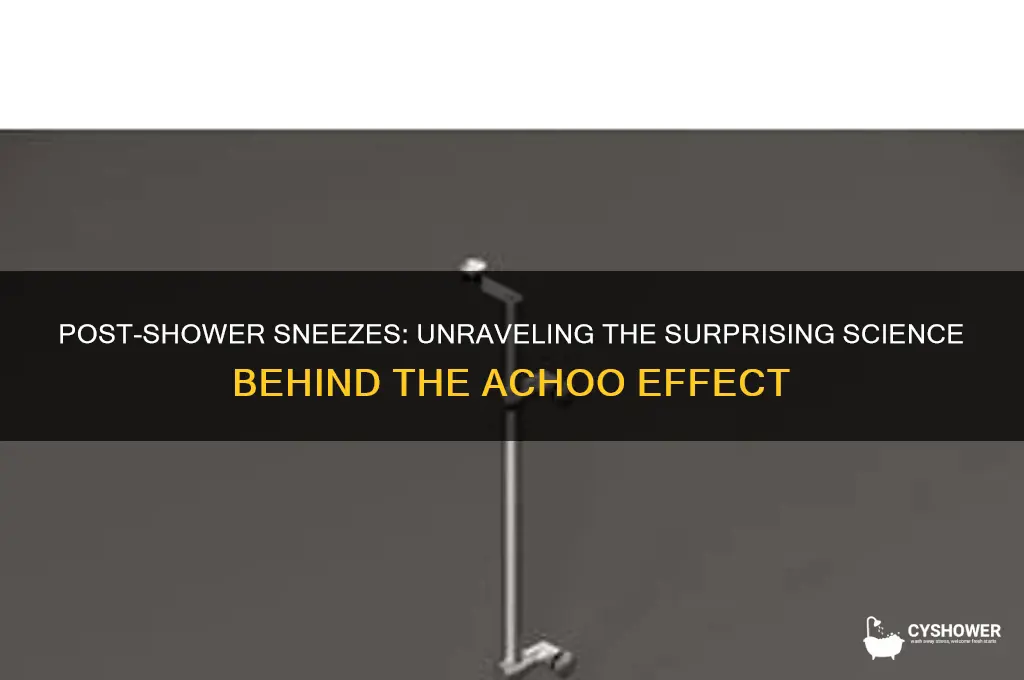 why do you get the sneezes after a shower