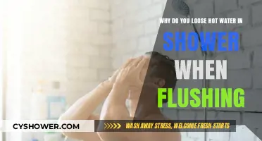 Why Flushing the Toilet Steals Your Shower's Hot Water