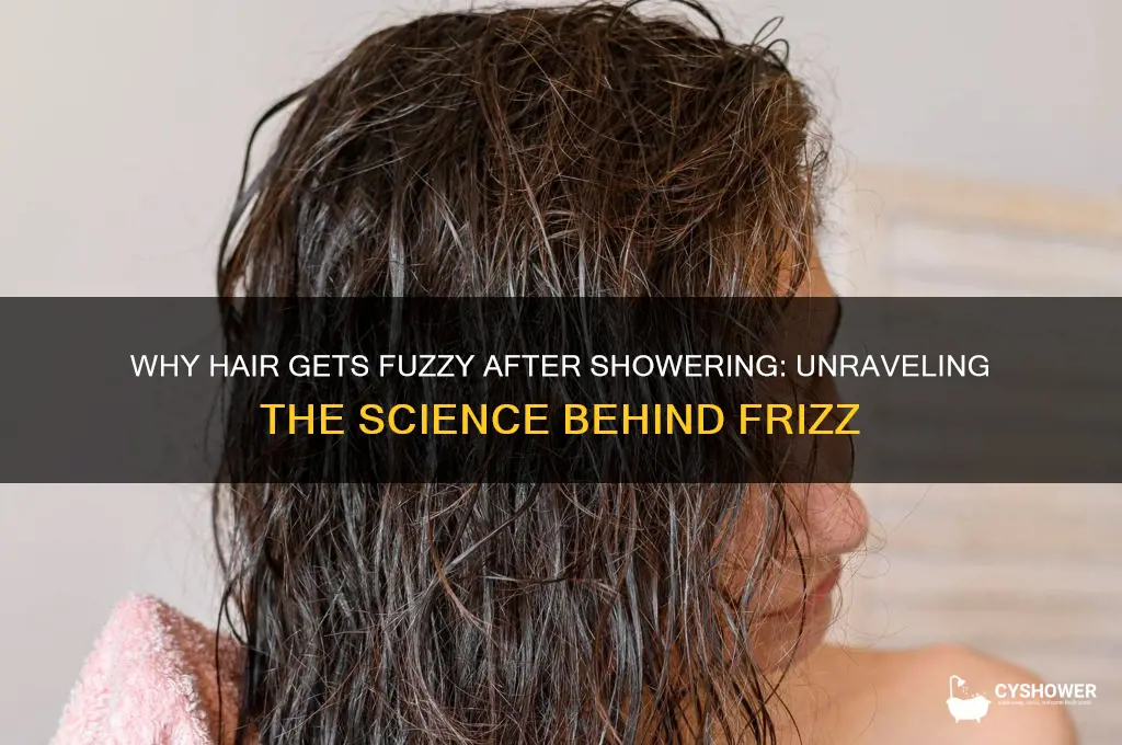 why doea hair get fuzzy out of shower