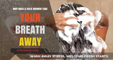 Cold Showers and Breathless Moments: Unraveling the Science Behind the Gasp