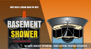 Basement Shower Drain Backup: Causes and Solutions Explained