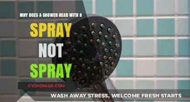 Why Your Shower Head's Spray Function Isn't Working: Common Causes