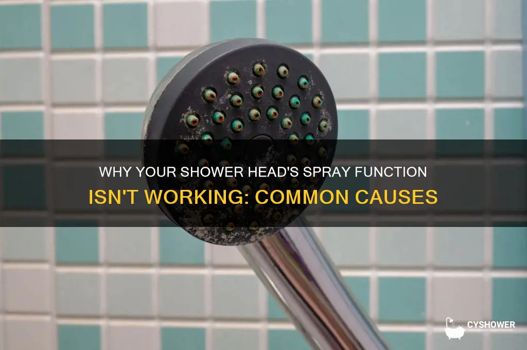 why does a shower head with a spray not spray