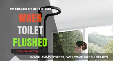 Why Flushing the Toilet Chills Your Shower Water: Explained
