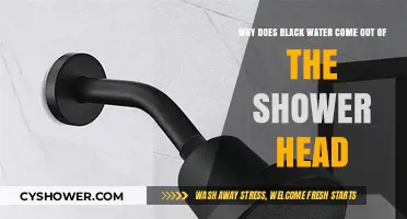 Why Black Water from Shower Head? Causes and Solutions Explained
