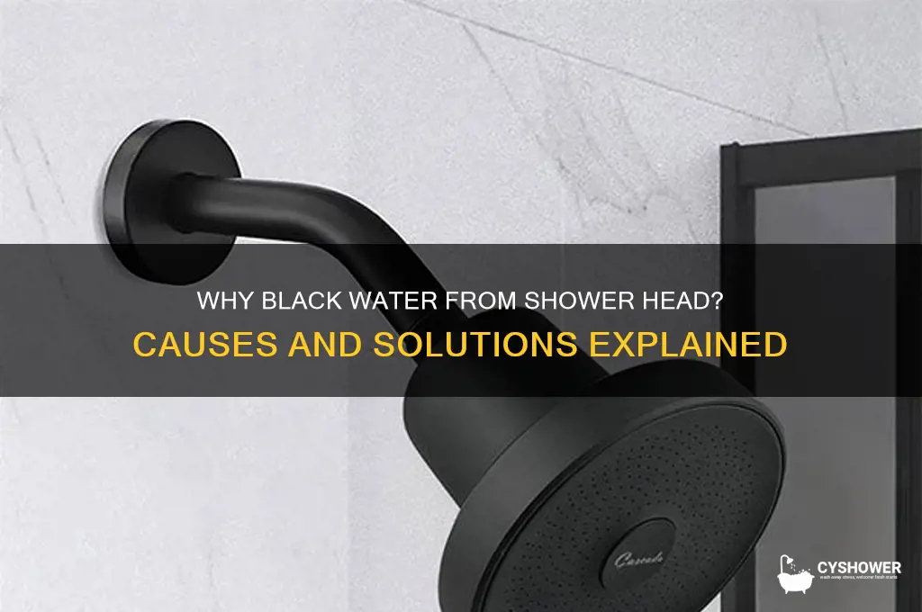 why does black water come out of the shower head