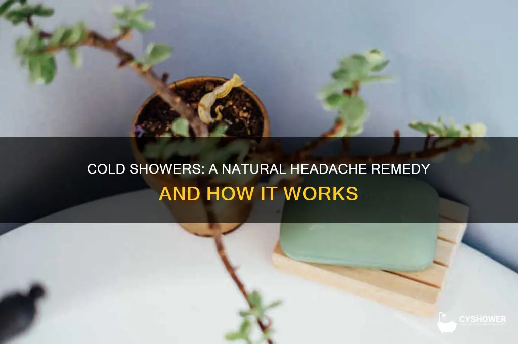 why does cold water shower cure my headache