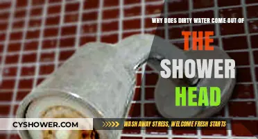 Why Does Dirty Water Come Out of the Shower Head?