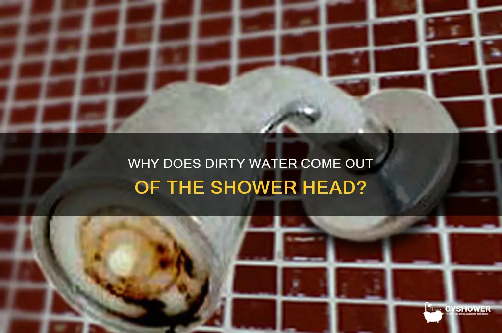why does dirty water come out of the shower head