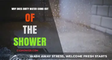 Why Dirty Water Comes Out of Your Shower: Causes and Fixes