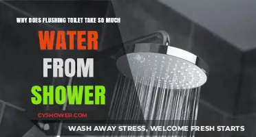 Why Flushing Your Toilet Drains Shower Water: Plumbing Secrets Revealed