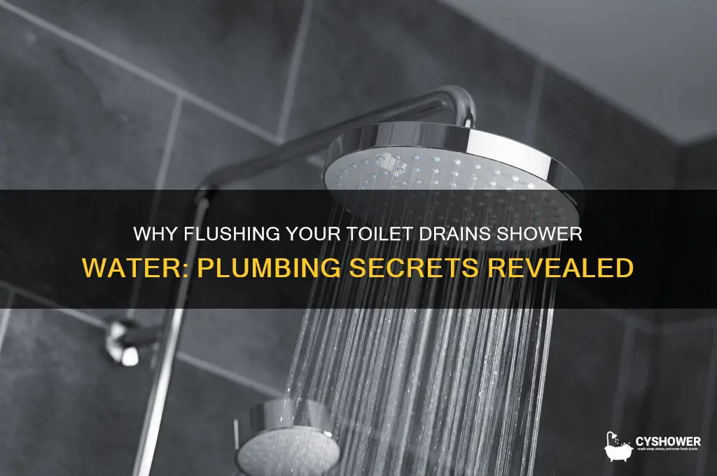 why does flushing toilet take so much water from shower