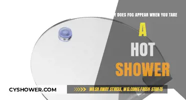 Hot Showers and Foggy Mirrors: The Science Behind Bathroom Mist