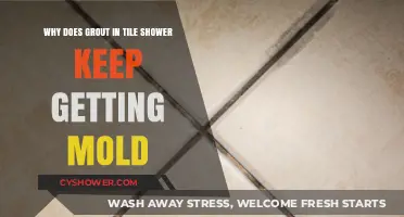 Preventing Mold in Shower Grout: Causes and Effective Solutions