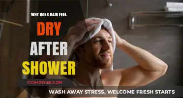Why Hair Feels Dry Post-Shower: Causes and Solutions