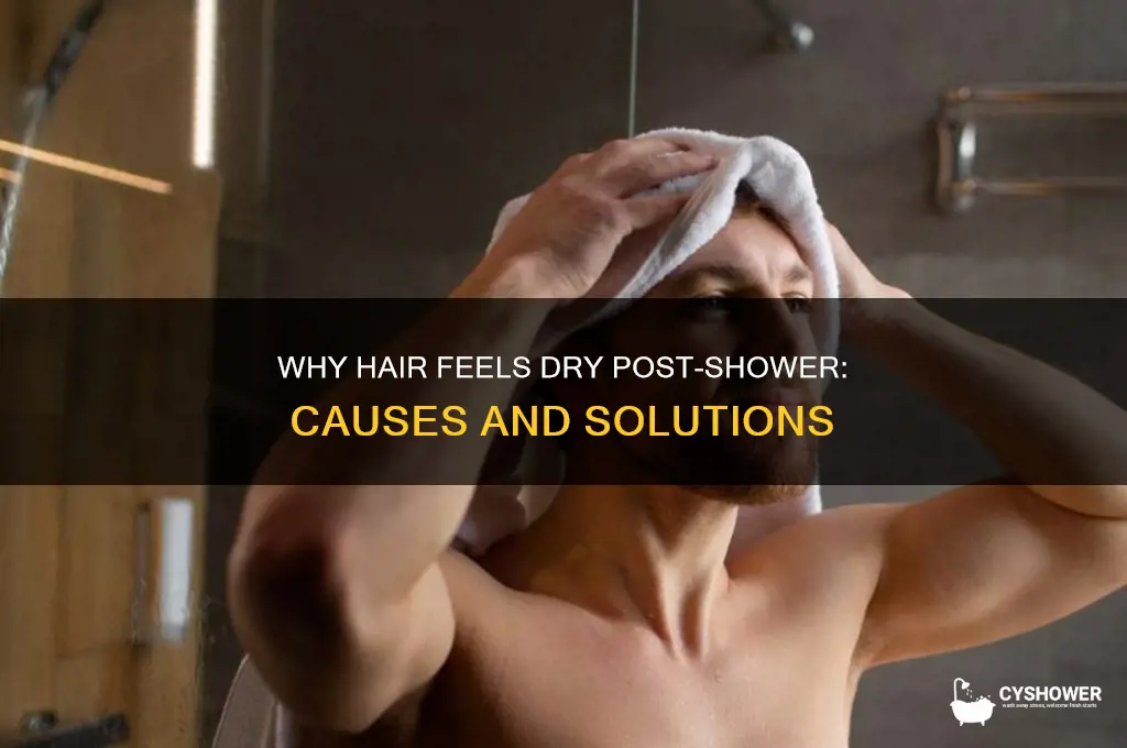 why does hair feel dry after shower