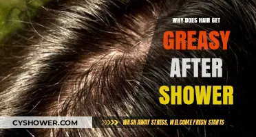 Why Hair Gets Greasy Post-Shower: Causes and Quick Fixes