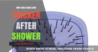 Why Hair Appears Thicker Post-Shower: Unraveling the Science Behind It