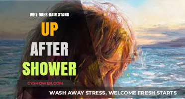 Why Your Hair Stands Up After a Shower: The Science Explained