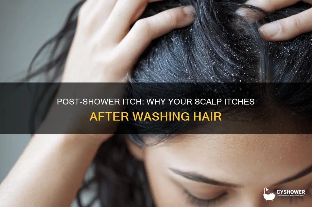 why does head itch after shower