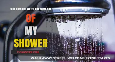 Why Your Shower Isn't Delivering Hot Water: Troubleshooting Tips