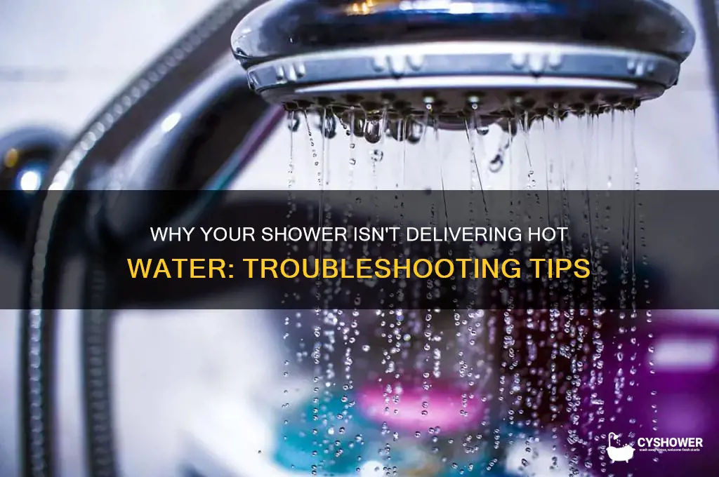 why does hot water not come out of my shower