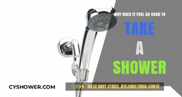 The Blissful Science Behind Why Showers Feel So Refreshing
